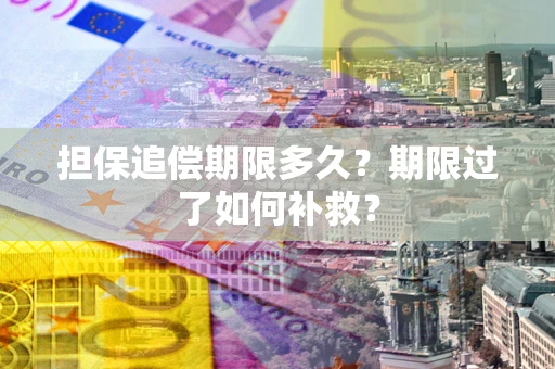 北京担保追偿期限多久？期限过了如何补救？